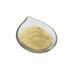 Wholesale Spray Dried Vegetable Powder Ginger Powder