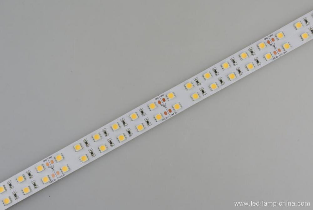 DC24V 600D 100W per roll SMD 5050 LED STRIP