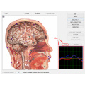 9d quantum analysis aura chakra detector