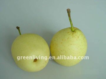 2011 new crop ya pear,organic prickly pear