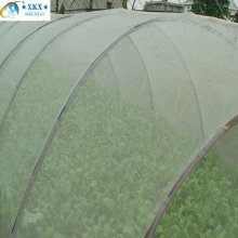Anti-insect net for greenhouse