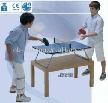 Mini PingPong Table