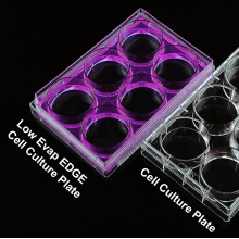 6 Well Edge Cell Culture Plate