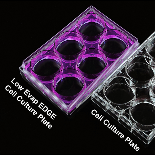 Placas de cultivo celular EDGE de 6 pocillos