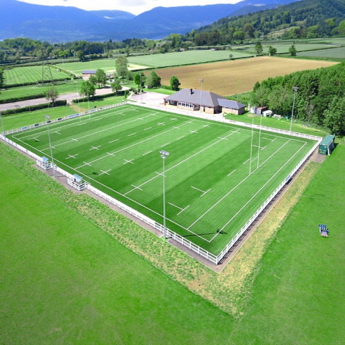 Rugby Field Artificial Gräs Anpassad logotyp