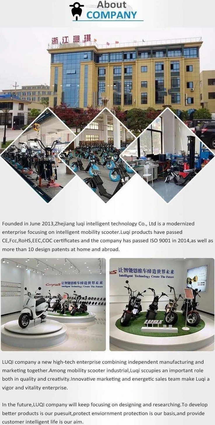 Wholesale in Stock Big Power Capacity Large Load Fashionable Luqi Electric Scooters with 2 Man