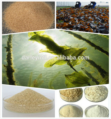 TEXTILE GRADE HIGH VISCOSITY INDUSTRIAL SODIUM ALGINATE