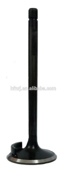 titanium nitride engine valve