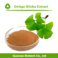 Polvo natural puro orgánico a granel del extracto de Ginkgo Biloba