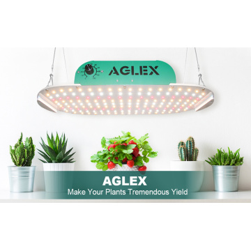 Acquista 2020 luci progressive a LED dimmerabili da 100 W di vendita calda