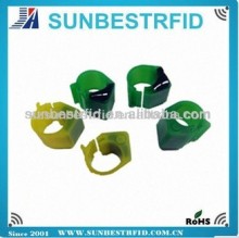 RFID pigeon ring