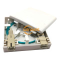 2 Ports Fiber Optic Wall Plate