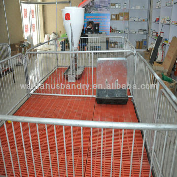 dry and wet automatic pig feeder for farm