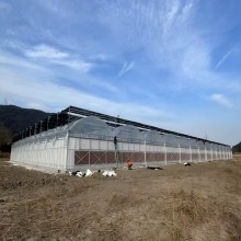 Multi-Span Film Agricultural Commercial Plastic Greenhouse