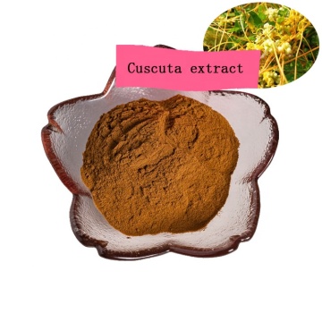 factory supply semen cuscutae extract/cuscuta extract/dodder extract powder