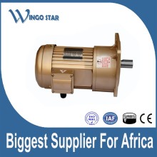 Y SERIES THREE-PHASE INDUCTION MOTORS