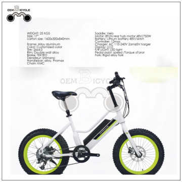 Fat tire cheap electric bike for children