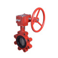 Cast Iron Ansi Butterfly Valve