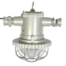 Explosion Proof Light /Laneway Light /Lamp (DGS15(A)/DGS18(A))
