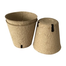 Biodegradable Pulp Seedling Cups with Big Drainage Holes for Plant Nurseries