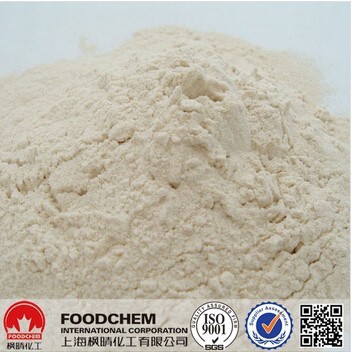 Vital Wheat Gluten VWG Powder