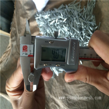 Steel concrete nail with top quality