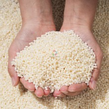 100% biodegradable polyhydroxyalkanoates PHA