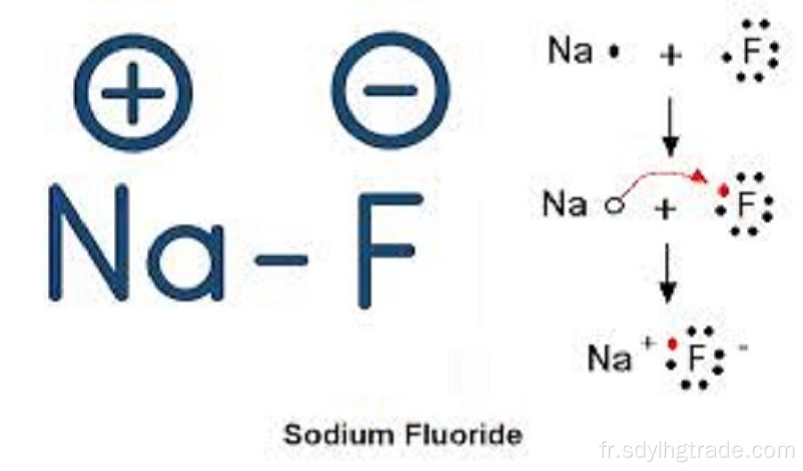 injection de fluorure de sodium f 18