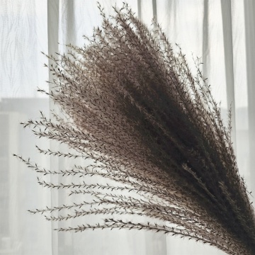 M-1152 Natural Colour Dried Bulrush Grass for Wedding