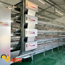 AGRIESO Hot Dip Galvanized H Type Chicken Cage System