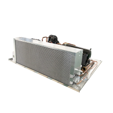 Rapid cooling variable frequency horizontal condensing unit