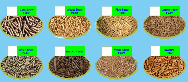 Biomass Ring Die Palm Fuel Wood Pellet Mill Machine