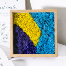 Stabilized Reindeer Moss Wall Panels for Office Decor