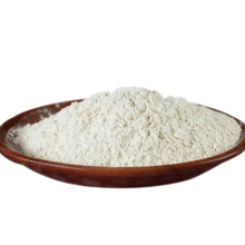 Best Quality Garlic Powder Get Free Samples