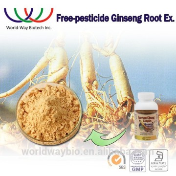 Free samples panax ginseng extract powder , functional Chinese herbal medicine top quality panax ginseng extract