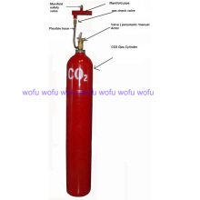 CO2 Fire Suppression System Single Cylinder