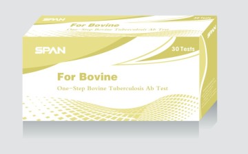 One-Step Bovine TB Ab Test
