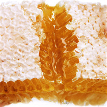 Treating Fatigability Nutritious Goji Honey