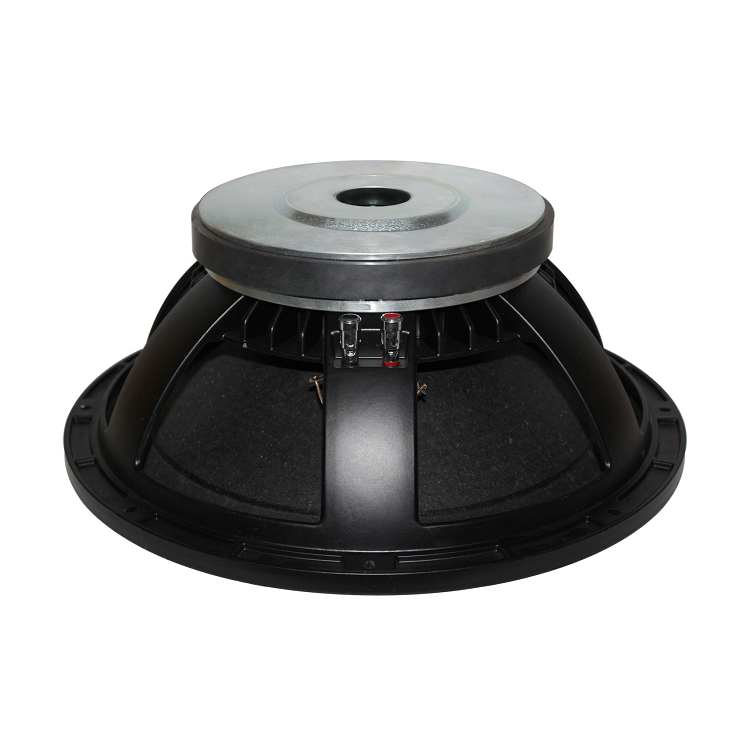 10 inch professional speaker wholesale speaker WL1004