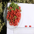 Bông Wolfberry hữu cơ được chứng nhận dinh dưỡng cao