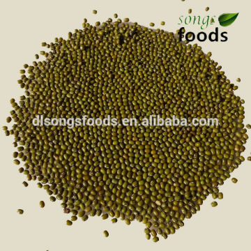 Different Types Dried Beans