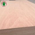 High Quality Poplar Core Bintangor Laminated Plywood