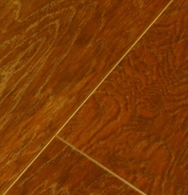 Registered Embossed Series (EIR) -Kn2238