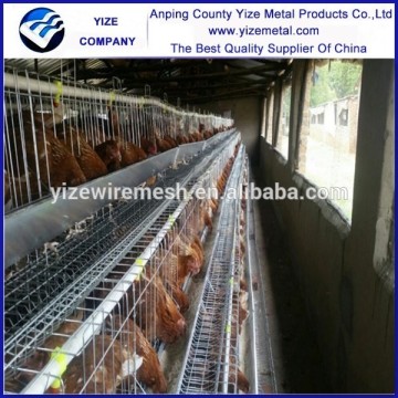 A-120 Chicken battery cage for laying hens chicken layers