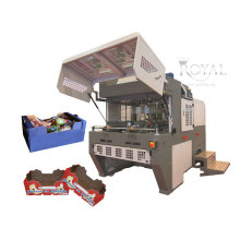 RYTF-15 Automatic Carton Tray Erectors for Avocado Carton Former & Case Former