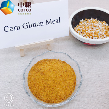 2021 Thức ăn bột gluten ngô