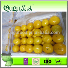 2015 New crop mandarine fresh orange