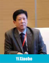 Secretary General of China Lead Acid Battery Association
