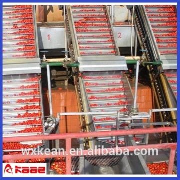 fresh fruit processing line, fruit drinks production line