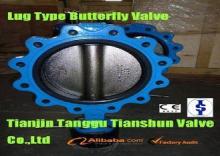 Water PTFE Lined Worm Geared Lug Type Flange Butterfly Valv